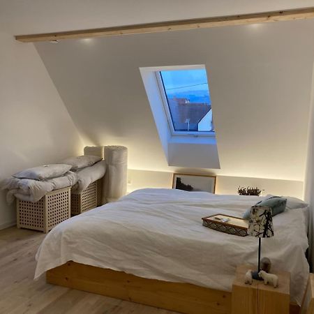 Neues Penthouse-Loft Mit Konuskarte Fuer Gratis Oepnv Daire Ehrenkirchen Dış mekan fotoğraf