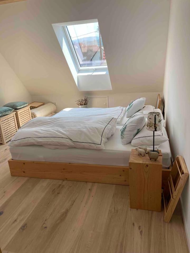 Neues Penthouse-Loft Mit Konuskarte Fuer Gratis Oepnv Daire Ehrenkirchen Dış mekan fotoğraf