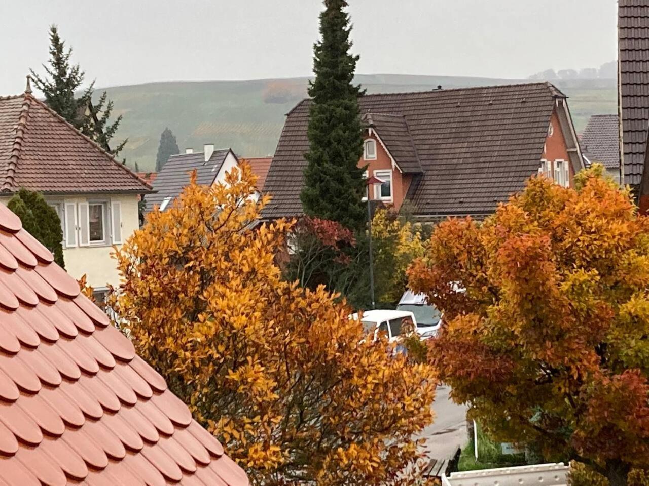 Neues Penthouse-Loft Mit Konuskarte Fuer Gratis Oepnv Daire Ehrenkirchen Dış mekan fotoğraf